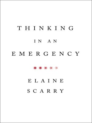 cover image of Thinking in an Emergency (Norton Global Ethics Series)